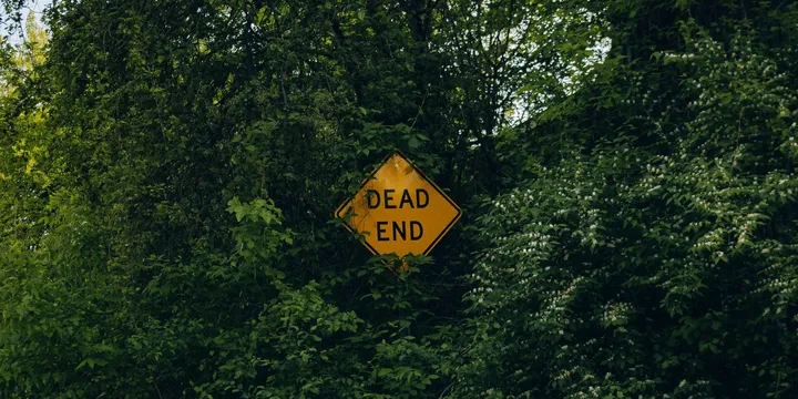 Bäume mit sehr dichtem, grünem Laub. Fast vollständig von den Blättern verdeckt, befindet sich inmitten davon ein gelbes, rautenförmiges Schild mit der Aufschrift "Dead End".
