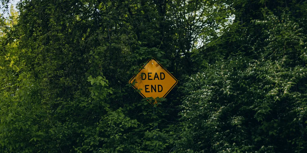Bäume mit sehr dichtem, grünem Laub. Fast vollständig von den Blättern verdeckt, befindet sich inmitten davon ein gelbes, rautenförmiges Schild mit der Aufschrift "Dead End".